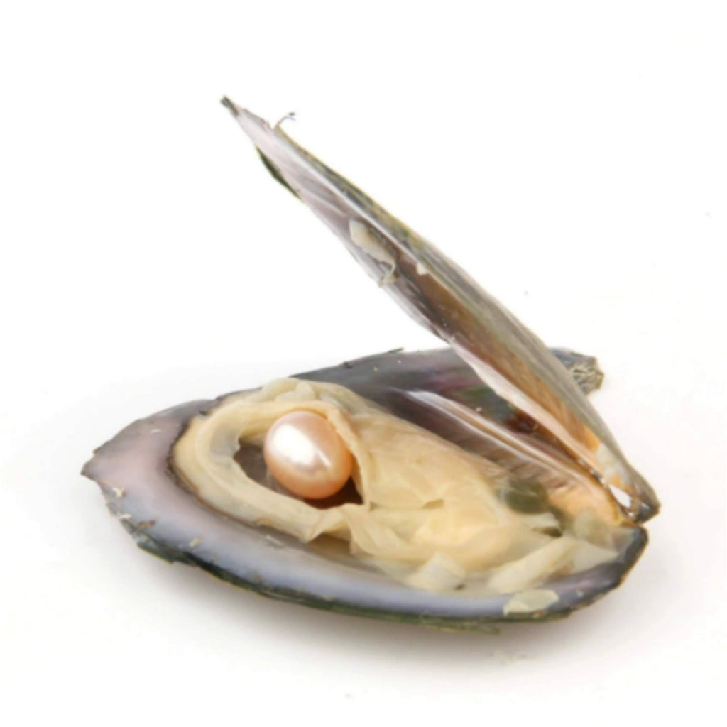 Natural Oyster Wish Pearl Pendant Set